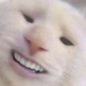 Meet your Posher, Charles